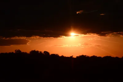 DSC_9724 (Large).JPG